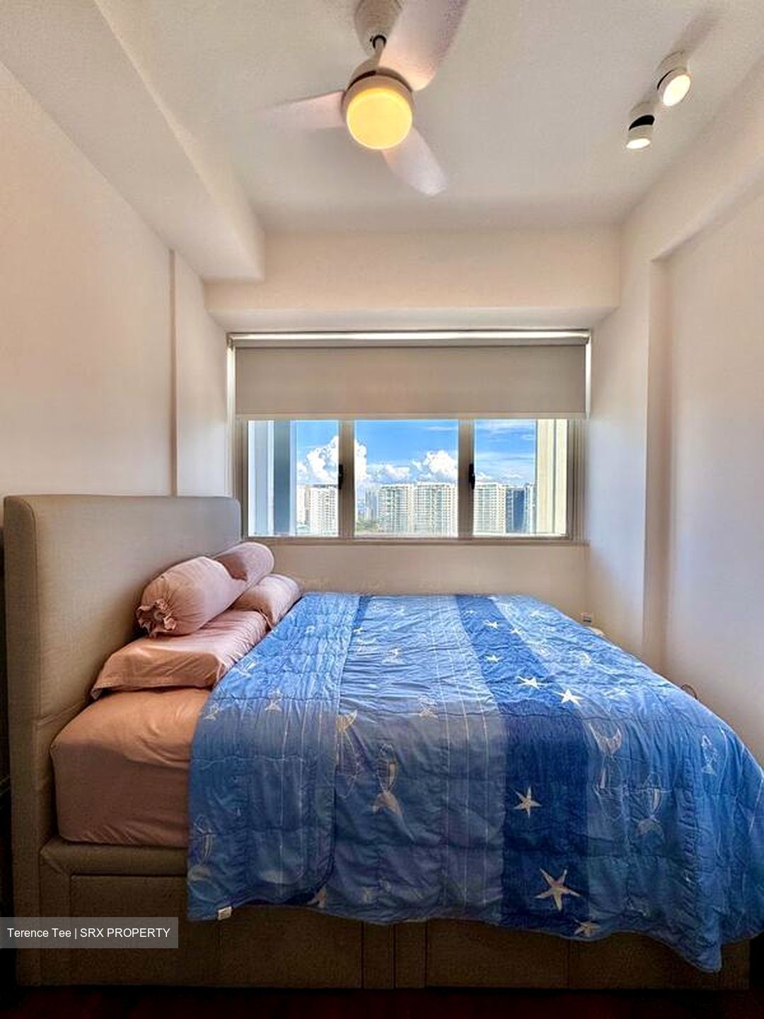 Haig 162 (D15), Apartment #501990411